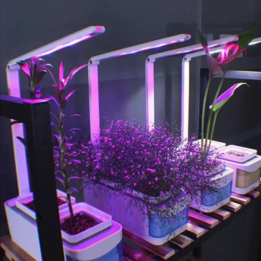 Hydroponic Indoor Garden Kit