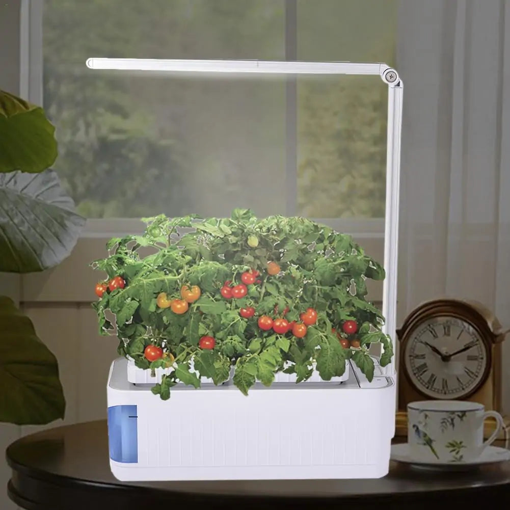 Hydroponic Indoor Garden Kit