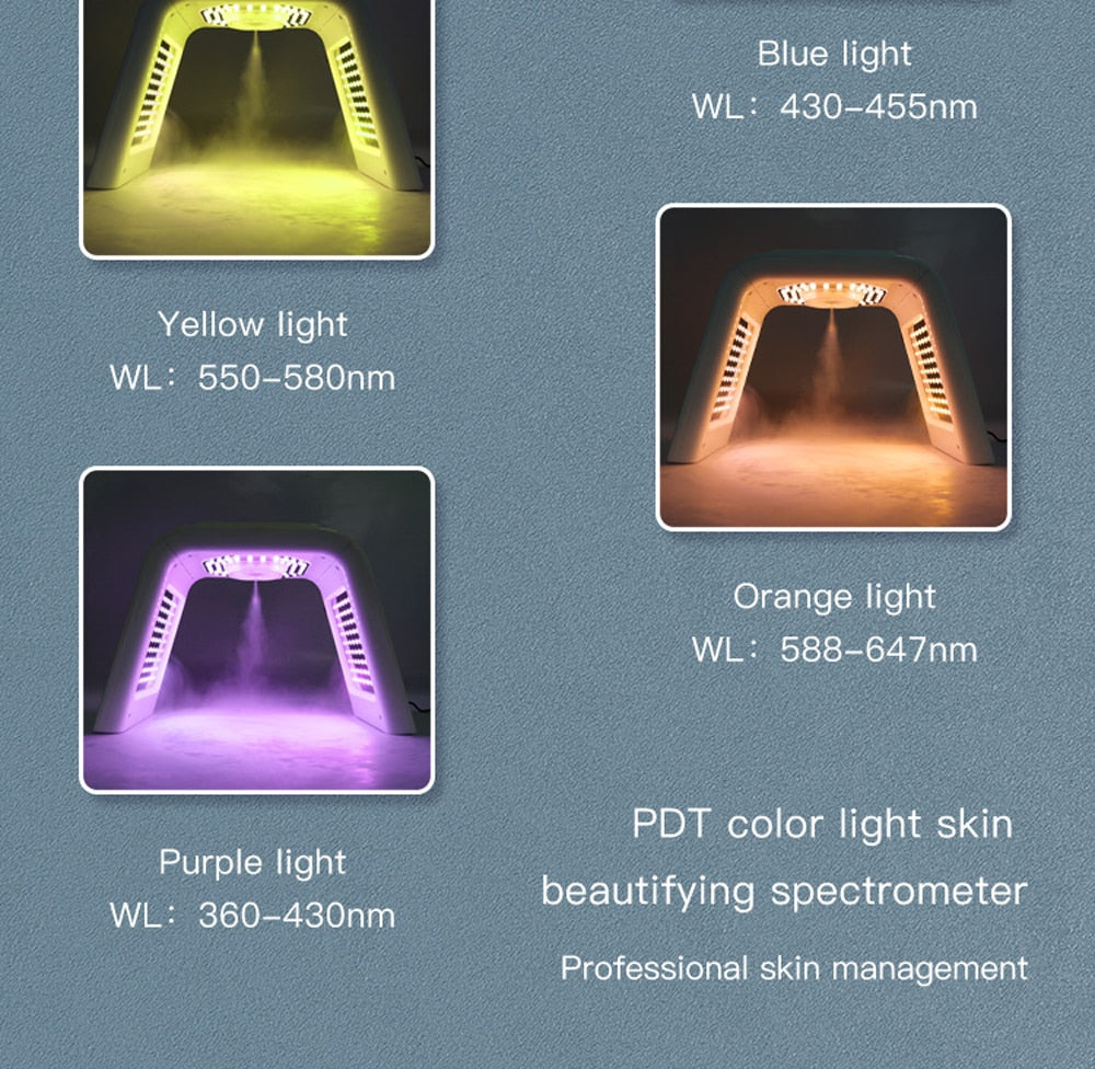 Facial Mask PDT Light Therapy