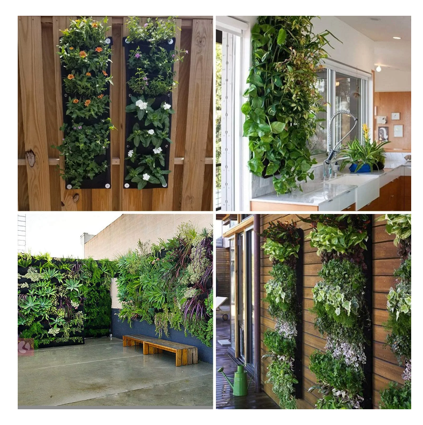 Vertical Hanging Garden